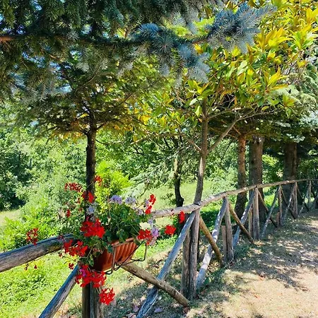Bed and breakfast L'antico Rifugio Del Tasso Cautano